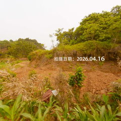 全景封面图